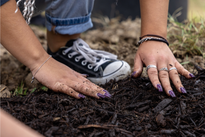 Rock The Campus tree planting event.